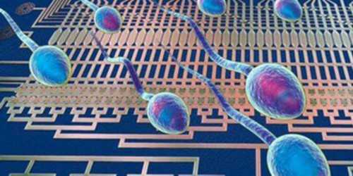 上海代生费用解析与优质医院推荐，助您轻松实现生育梦想