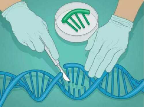 上海三代代生费用解析与医院推荐，助您实现优生优育