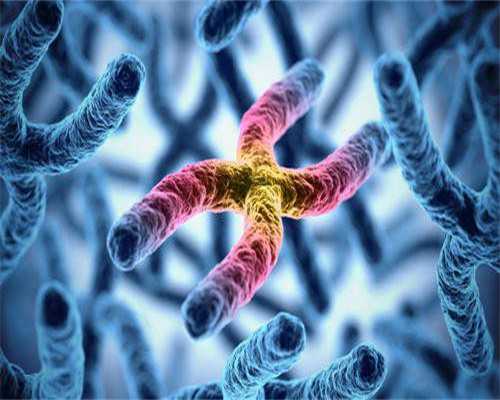 上海集爱医院代生收费多少成功率多少？2026年借卵生子dna医院攻略